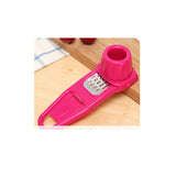 Plastic Ginger Garlic Grinding Tool